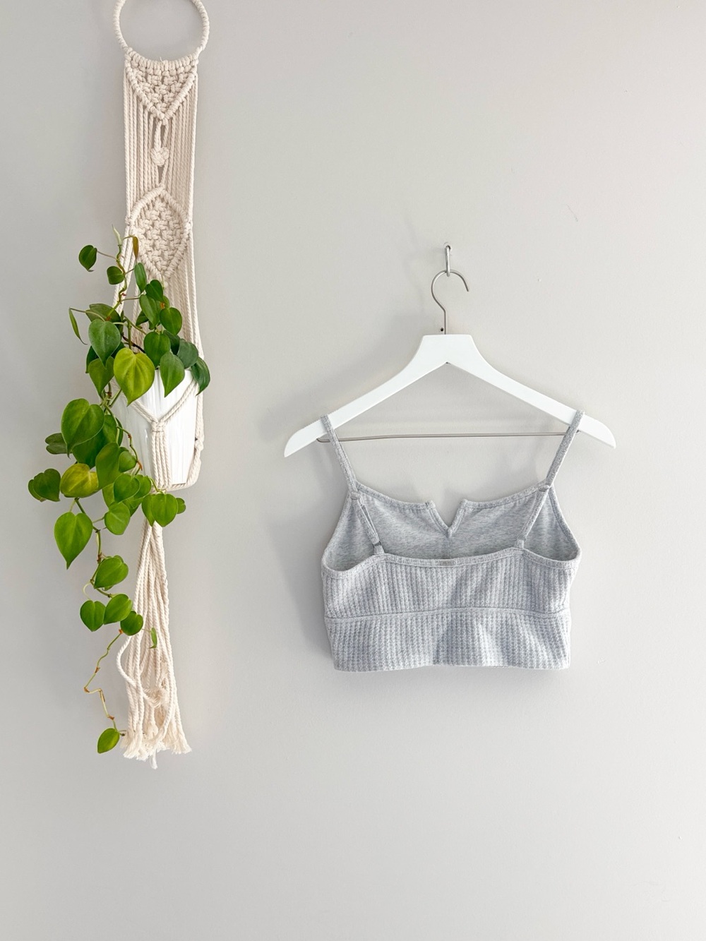 Gilly Hicks Ribbed Bralette - Picture 4 of 5
